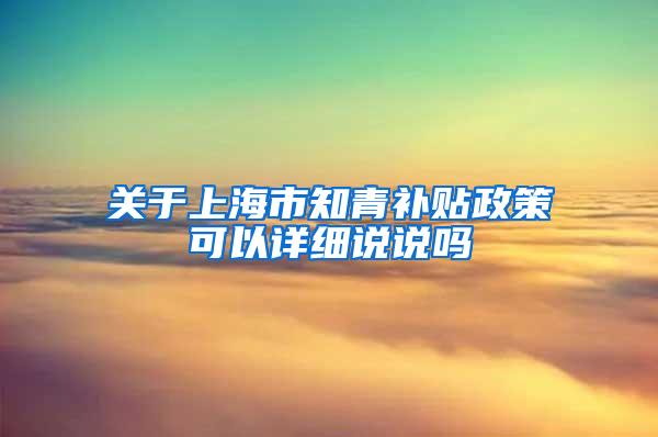 关于上海市知青补贴政策可以详细说说吗