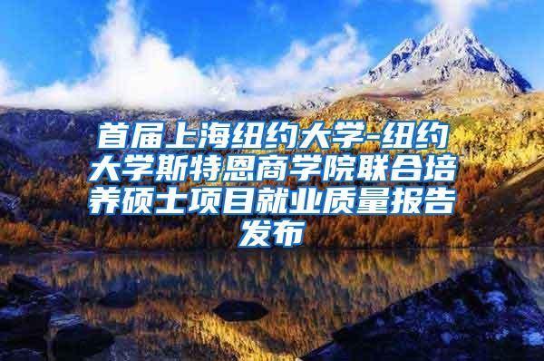 首届上海纽约大学-纽约大学斯特恩商学院联合培养硕士项目就业质量报告发布