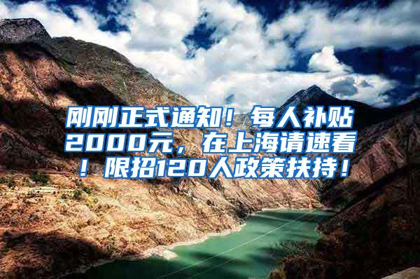 刚刚正式通知！每人补贴2000元，在上海请速看！限招120人政策扶持！
