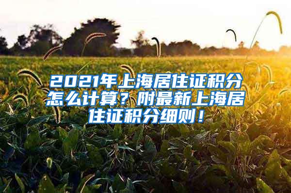 2021年上海居住证积分怎么计算？附最新上海居住证积分细则！