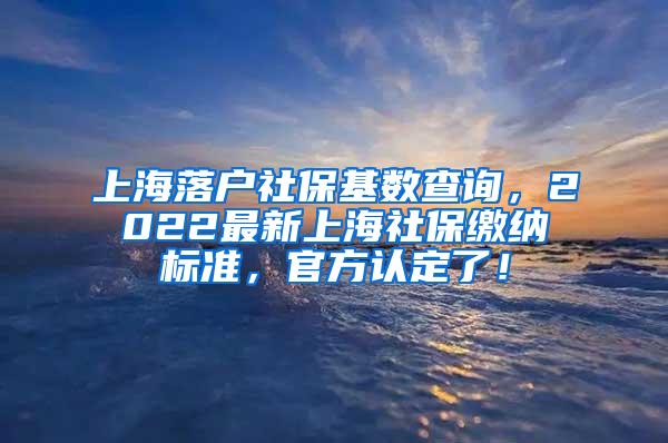 上海落户社保基数查询，2022最新上海社保缴纳标准，官方认定了！