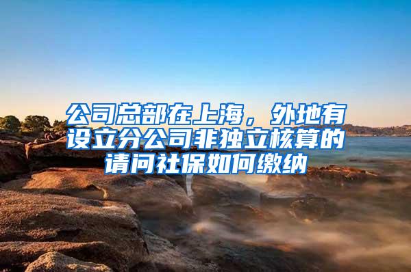 公司总部在上海，外地有设立分公司非独立核算的请问社保如何缴纳