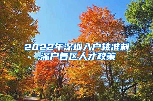 2022年深圳入户核准制,深户各区人才政策