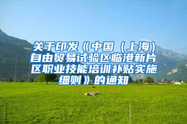 关于印发《中国（上海）自由贸易试验区临港新片区职业技能培训补贴实施细则》的通知