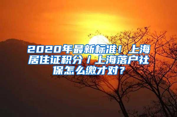 2020年最新标准！上海居住证积分／上海落户社保怎么缴才对？