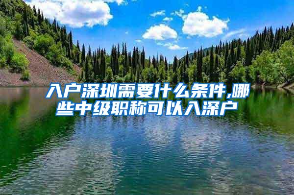 入户深圳需要什么条件,哪些中级职称可以入深户