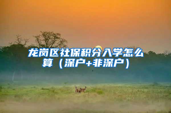 龙岗区社保积分入学怎么算（深户+非深户）