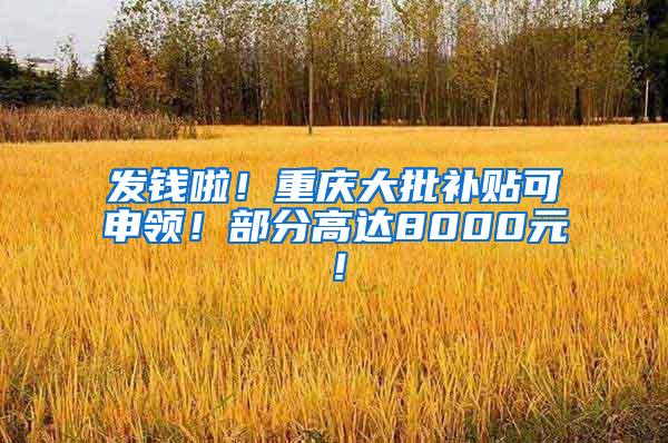 发钱啦！重庆大批补贴可申领！部分高达8000元！