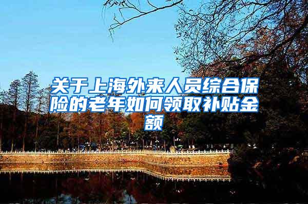 关于上海外来人员综合保险的老年如何领取补贴金额