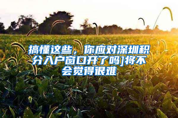 搞懂这些，你应对深圳积分入户窗口开了吗]将不会觉得很难