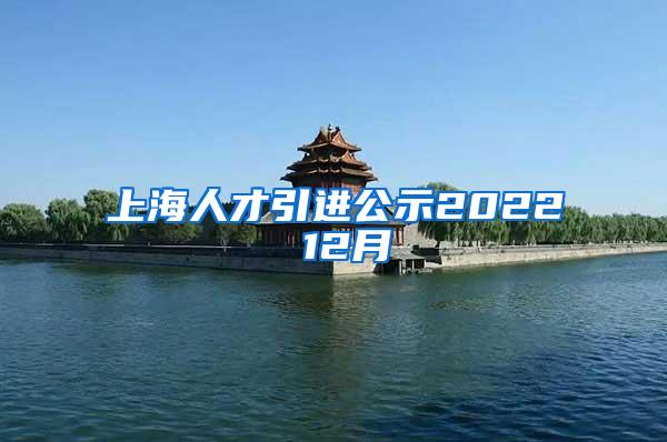 上海人才引进公示2022 12月