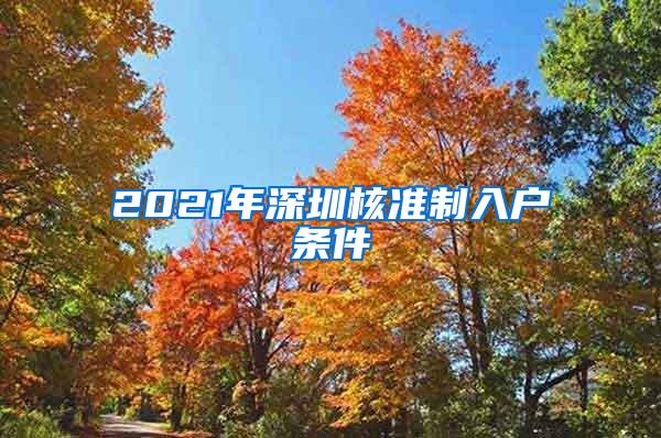 2021年深圳核准制入户条件