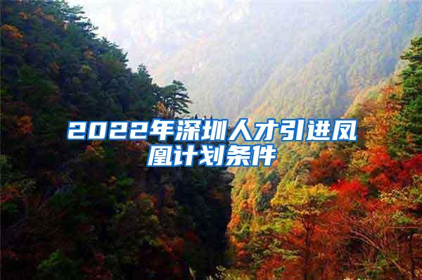 2022年深圳人才引进凤凰计划条件