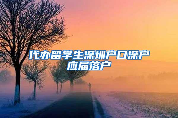 代办留学生深圳户口深户应届落户