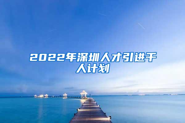 2022年深圳人才引进千人计划