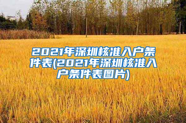 2021年深圳核准入户条件表(2021年深圳核准入户条件表图片)