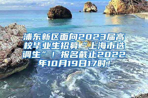 浦东新区面向2023届高校毕业生招募“上海市选调生”！报名截止2022年10月19日17时！