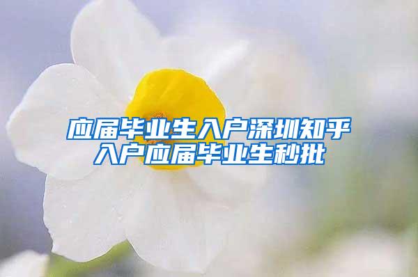 应届毕业生入户深圳知乎入户应届毕业生秒批