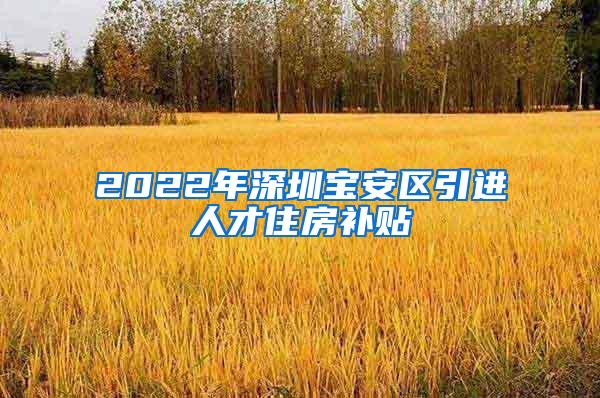 2022年深圳宝安区引进人才住房补贴