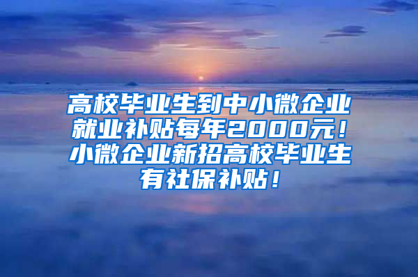 高校毕业生到中小微企业就业补贴每年2000元！小微企业新招高校毕业生有社保补贴！