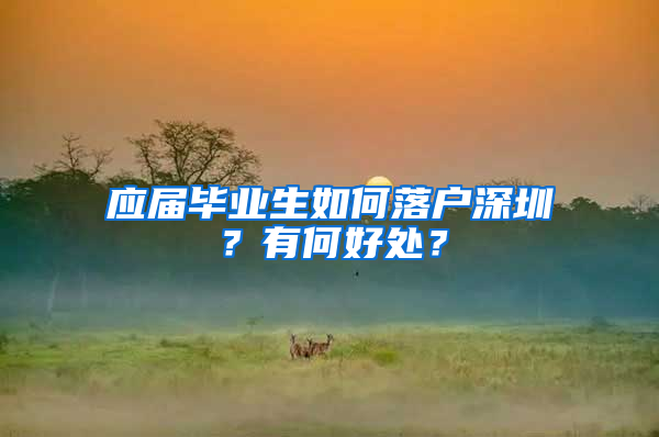 应届毕业生如何落户深圳？有何好处？