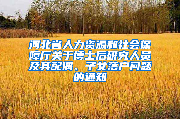 河北省人力资源和社会保障厅关于博士后研究人员及其配偶、子女落户问题的通知