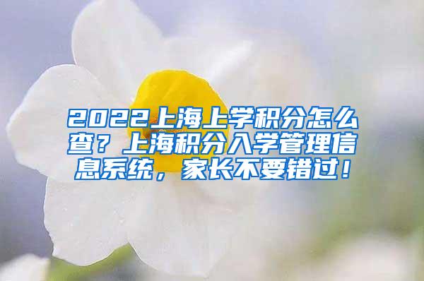 2022上海上学积分怎么查？上海积分入学管理信息系统，家长不要错过！