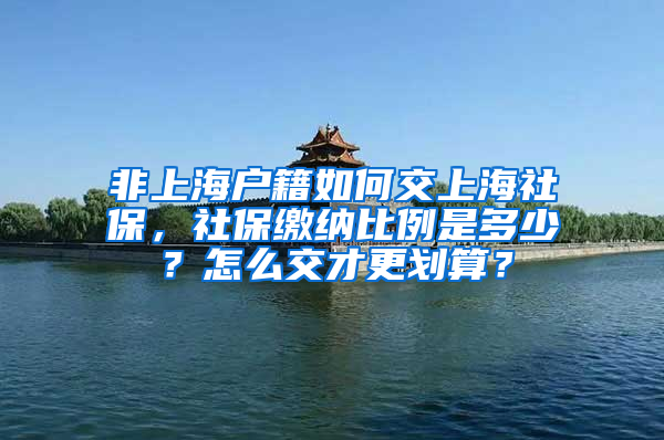 非上海户籍如何交上海社保，社保缴纳比例是多少？怎么交才更划算？