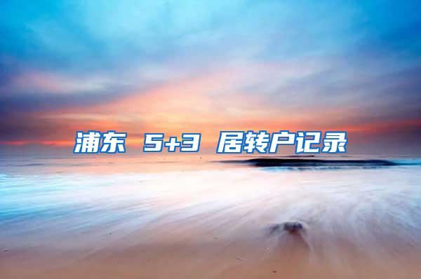 浦东 5+3 居转户记录