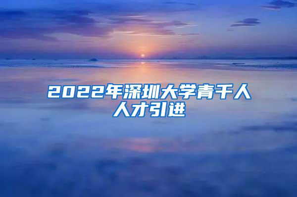 2022年深圳大学青千人人才引进