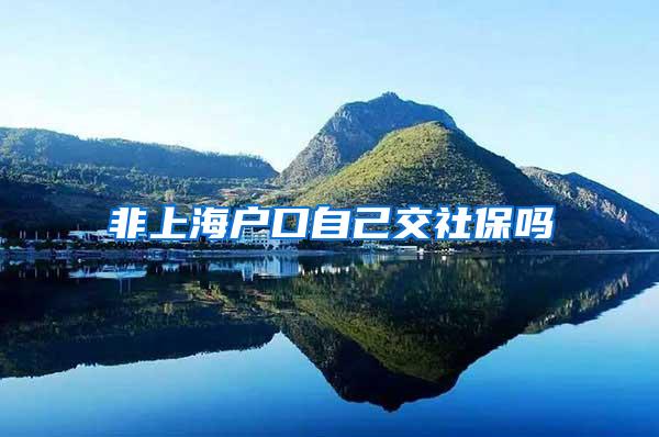 非上海户口自己交社保吗