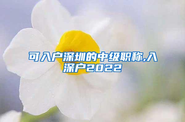 可入户深圳的中级职称,入深户2022