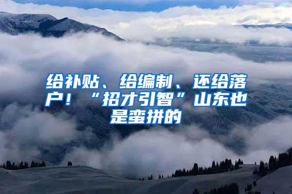 给补贴、给编制、还给落户！“招才引智”山东也是蛮拼的