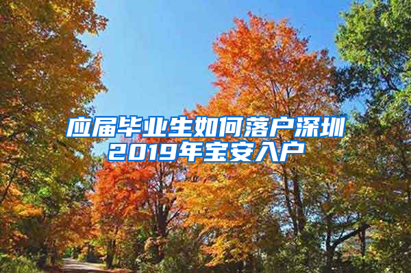 应届毕业生如何落户深圳2019年宝安入户