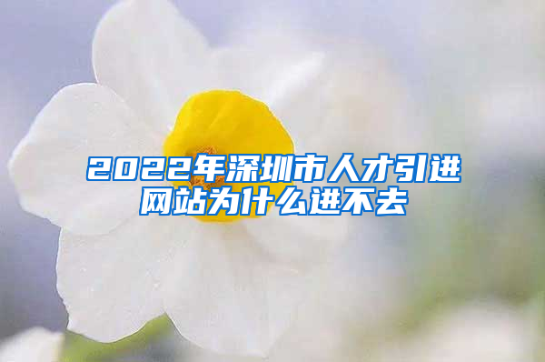 2022年深圳市人才引进网站为什么进不去