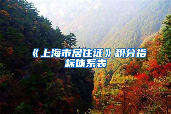《上海市居住证》积分指标体系表
