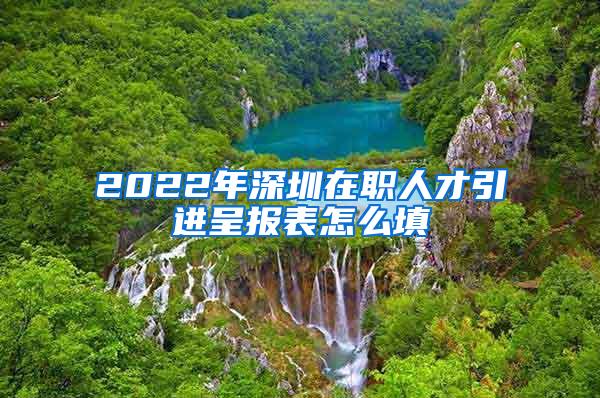 2022年深圳在职人才引进呈报表怎么填