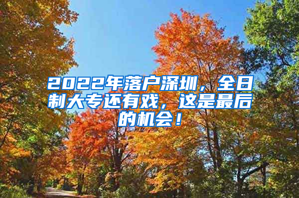 2022年落户深圳，全日制大专还有戏，这是最后的机会！