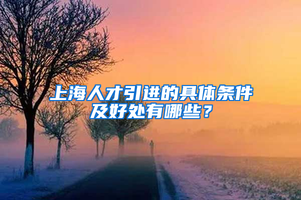 上海人才引进的具体条件及好处有哪些？