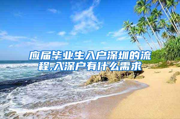 应届毕业生入户深圳的流程,入深户有什么需求