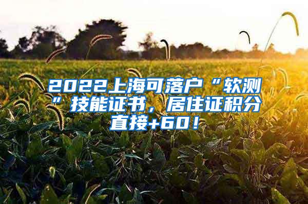 2022上海可落户“软测”技能证书，居住证积分直接+60！