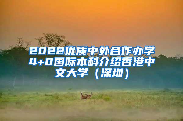 2022优质中外合作办学4+0国际本科介绍香港中文大学（深圳）