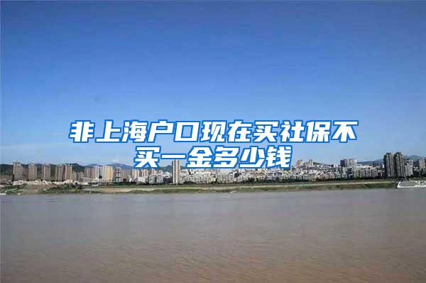 非上海户口现在买社保不买一金多少钱