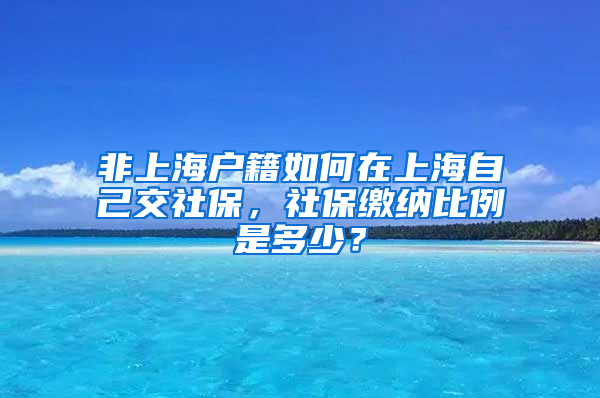 非上海户籍如何在上海自己交社保，社保缴纳比例是多少？