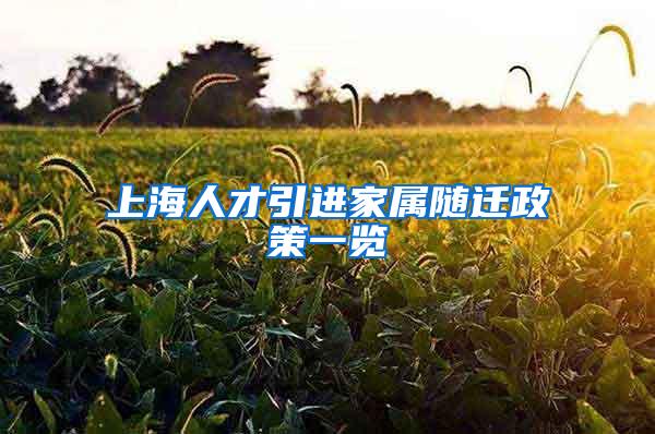 上海人才引进家属随迁政策一览