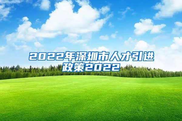 2022年深圳市人才引进政策2022