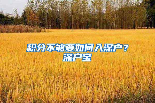 积分不够要如何入深户？深户宝