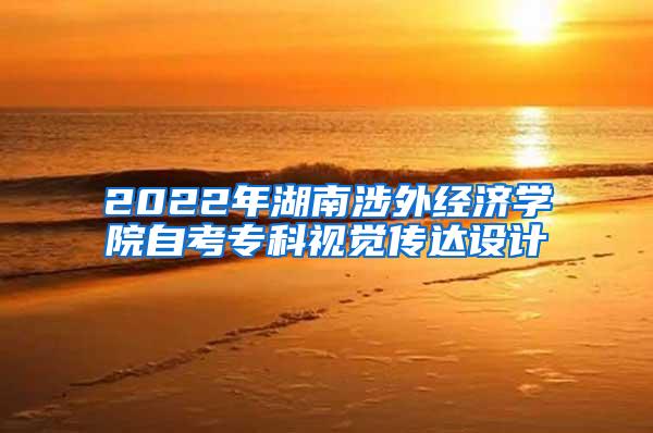 2022年湖南涉外经济学院自考专科视觉传达设计