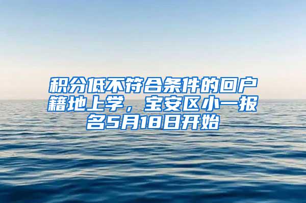 积分低不符合条件的回户籍地上学，宝安区小一报名5月18日开始