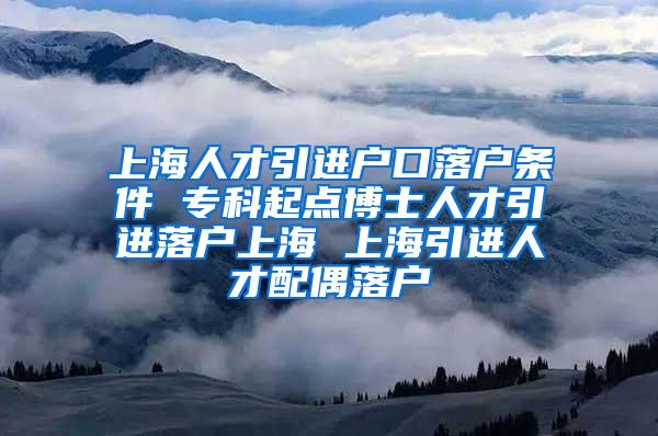 上海人才引进户口落户条件 专科起点博士人才引进落户上海 上海引进人才配偶落户